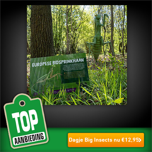 Tickets voor Big Insects nu voor slechts € 12,95 per persoon