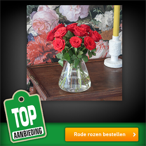 Rode rozen voordelig online bestellen bij Bloompost