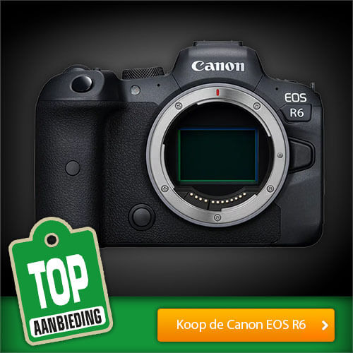 Koop nu de Canon EOS R6-systeemcamerabody online