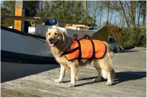 Beeztees Veiligheidsvest Zwemvest Hond XS 3 7Kg