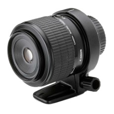 Canon MP E 65mm f|2.8 1 5x Macro