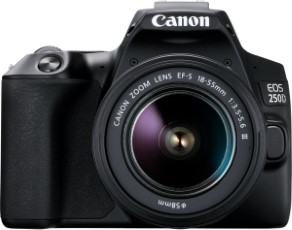 Canon EOS 250D 18 55mm STM 50mm f 1.8 STM
