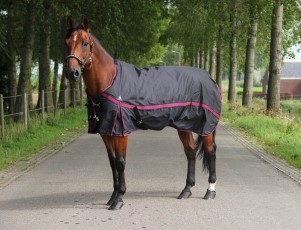 DKR Sports Regendeken Luxe met fleece maat 155|205 black|maroon
