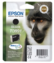 Epson Inktcartridge T0891 zwart