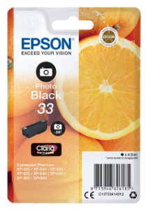 Epson Inktcartridge 33 T3341 foto zwart