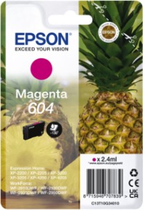 Epson Inktcartridge 604 T10G34 rood