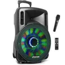 Fenton FT15LED karaoke speaker 800W 15 inch met LED verlichting