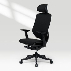 FlexiSpot Ergonomische stoel BS12 Pro