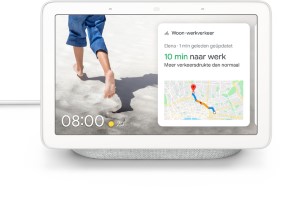 Google Nest Hub Smart Speaker met scherm Grijs