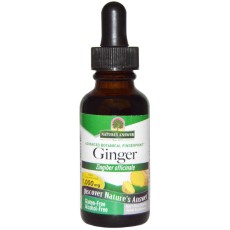 Natures Answer Ginger, Alcohol Free, 1000 mg 30 ml