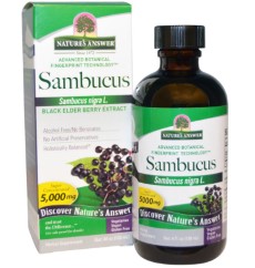 Natures Answer Sambucus, Black Elder Berry vlierbessen Extract 120 ml