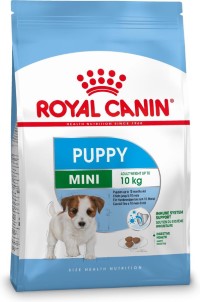 Royal Canin Mini Junior | 8 KG