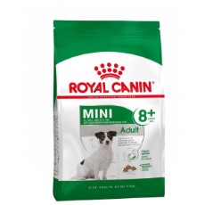 Royal Canin Mini Adult 8 Plus | 8 KG