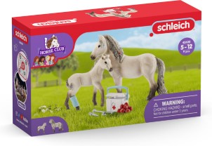 Schleich Horse Club Hannahs verbanddoos Speelfigurenset Kinderspeelgoed voor Jongens en Meisjes 5 tot 12 jaar 7 Onderdelen