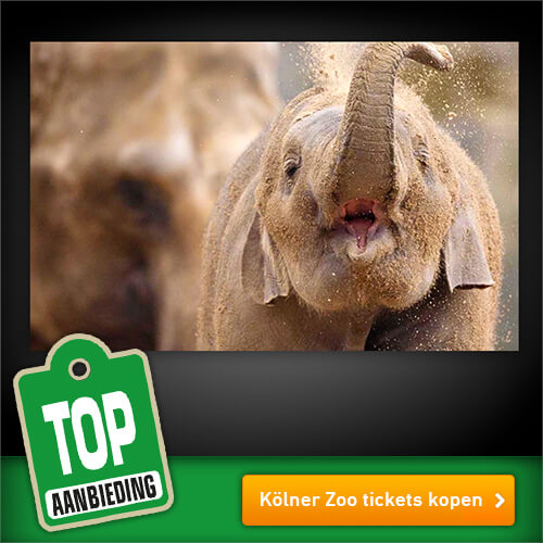 Dagje Kölner Zoo nu met € 8,- korting bij Tripper