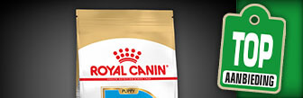 Koop nu de Royal Canin Dalmatian Junior - 12KG bij ZOO&ZO